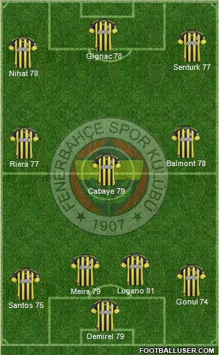 Fenerbahçe SK Formation 2011