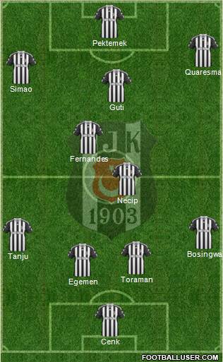 Besiktas JK Formation 2011