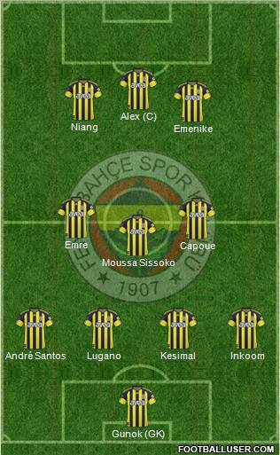Fenerbahçe SK Formation 2011