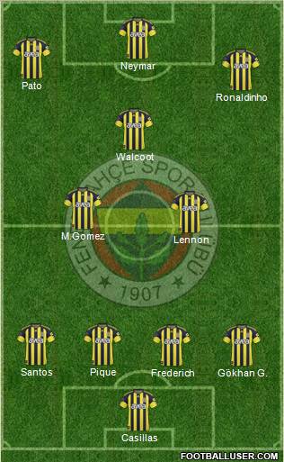 Fenerbahçe SK Formation 2011