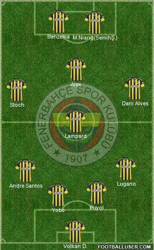 Fenerbahçe SK Formation 2011