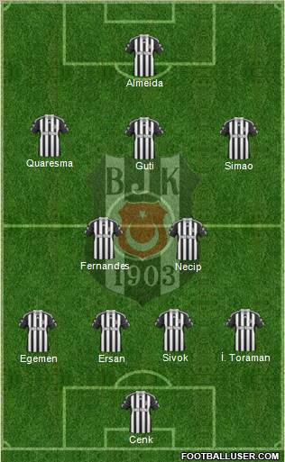 Besiktas JK Formation 2011