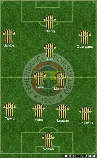 Fenerbahçe SK Formation 2011