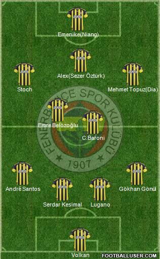 Fenerbahçe SK Formation 2011