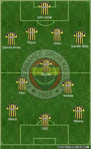 Fenerbahçe SK Formation 2011