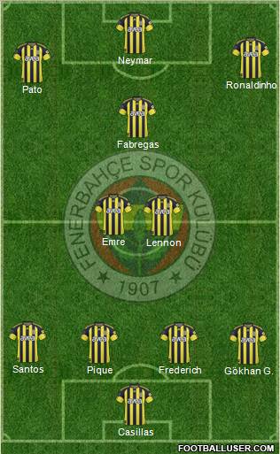 Fenerbahçe SK Formation 2011