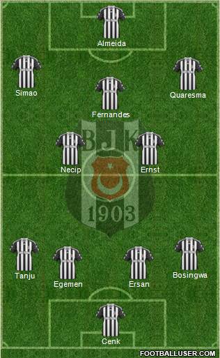 Besiktas JK Formation 2011