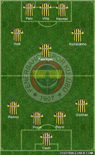 Fenerbahçe SK Formation 2011