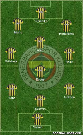 Fenerbahçe SK Formation 2011