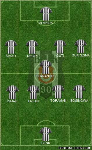 Besiktas JK Formation 2011