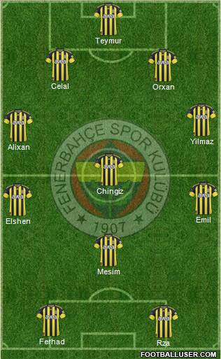 Fenerbahçe SK Formation 2011