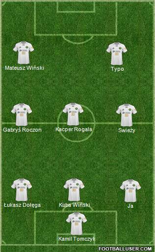Gornik Leczna Formation 2011