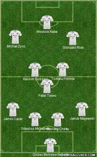 Gornik Leczna Formation 2011