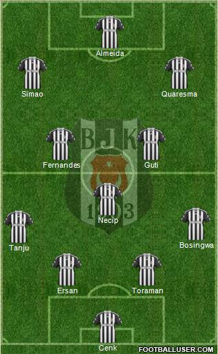 Besiktas JK Formation 2011