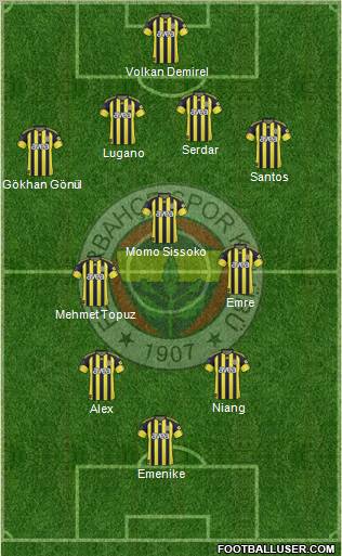 Fenerbahçe SK Formation 2011