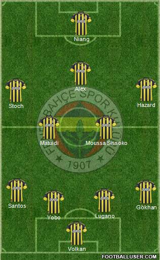 Fenerbahçe SK Formation 2011
