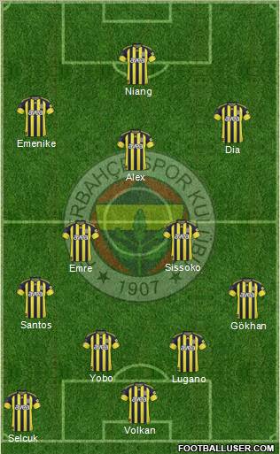 Fenerbahçe SK Formation 2011