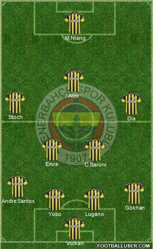 Fenerbahçe SK Formation 2011