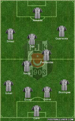 Besiktas JK Formation 2011