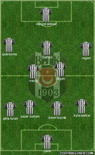 Besiktas JK Formation 2011