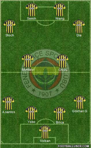 Fenerbahçe SK Formation 2011