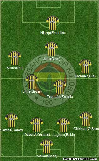 Fenerbahçe SK Formation 2011