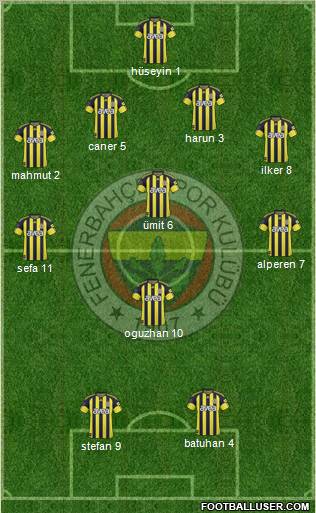 Fenerbahçe SK Formation 2011