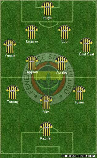 Fenerbahçe SK Formation 2011