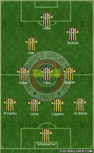 Fenerbahçe SK Formation 2011