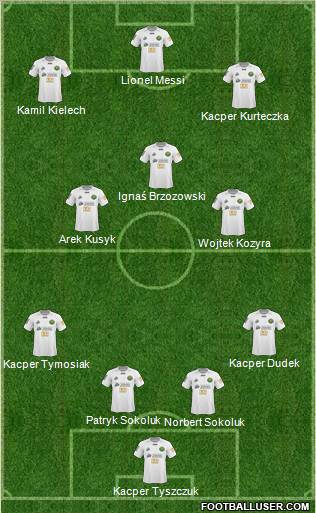 Gornik Leczna Formation 2011