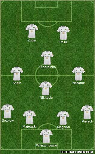 Gornik Leczna Formation 2011