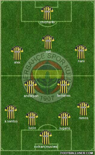 Fenerbahçe SK Formation 2011