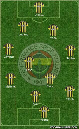 Fenerbahçe SK Formation 2011