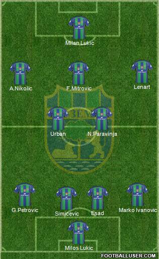 FK Zemun Formation 2011