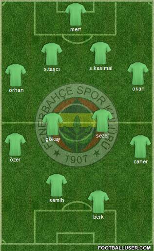 Fenerbahçe SK Formation 2011