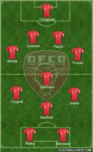 DFCO Formation 2011