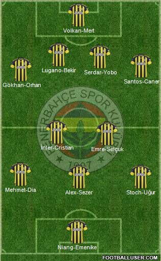 Fenerbahçe SK Formation 2011