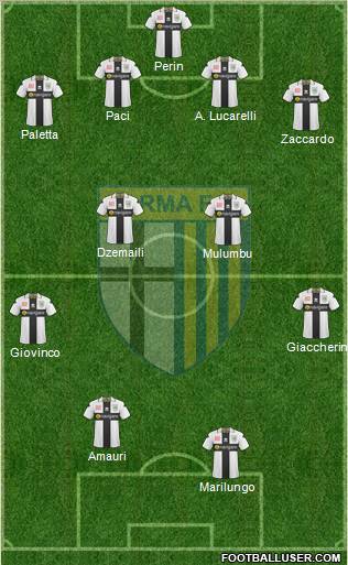 Parma Formation 2011