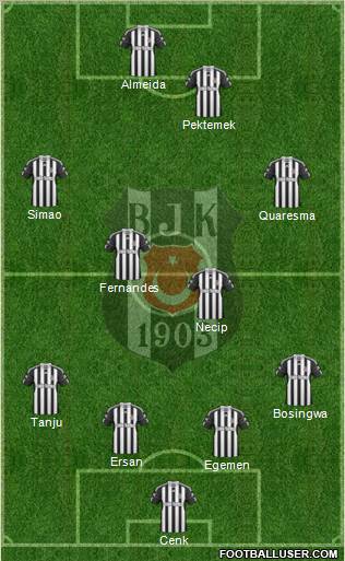 Besiktas JK Formation 2011