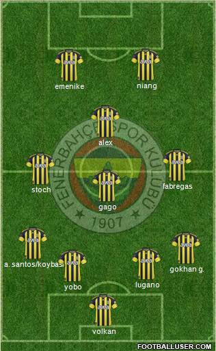 Fenerbahçe SK Formation 2011