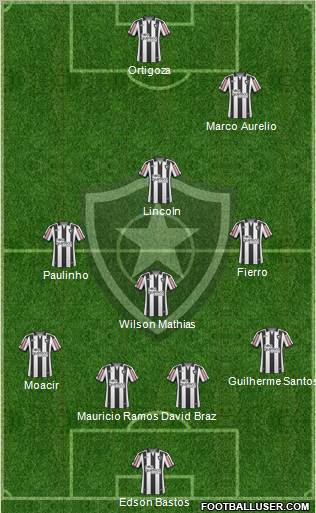 Botafogo FR Formation 2011