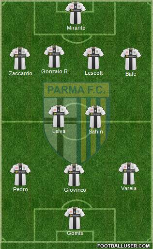 Parma Formation 2011