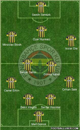 Fenerbahçe SK Formation 2011