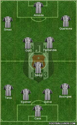 Besiktas JK Formation 2011