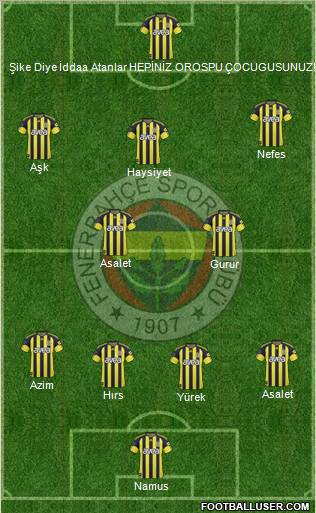 Fenerbahçe SK Formation 2011
