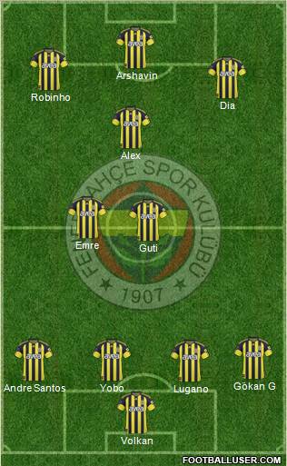 Fenerbahçe SK Formation 2011