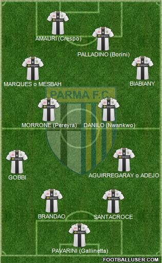 Parma Formation 2011