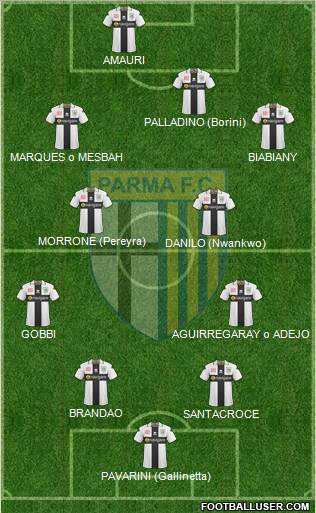 Parma Formation 2011