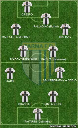 Parma Formation 2011