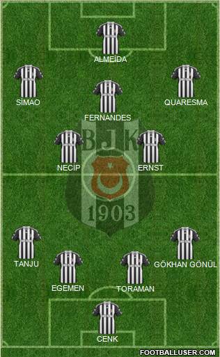 Besiktas JK Formation 2011